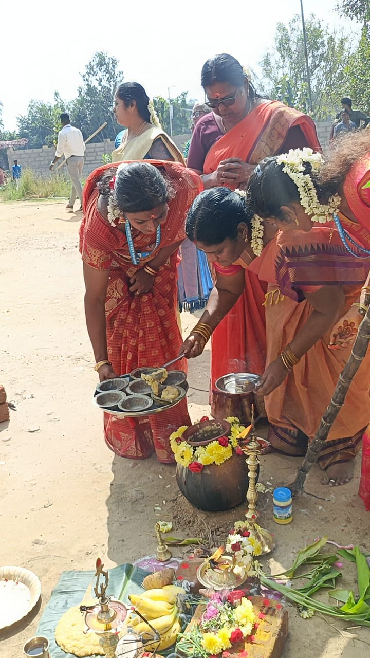 Our College Pongal Celebrations